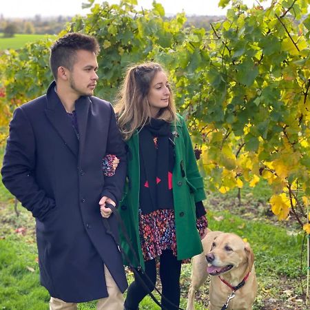 Hencote Vineyard Glamping Village 슈루즈버리 외부 사진