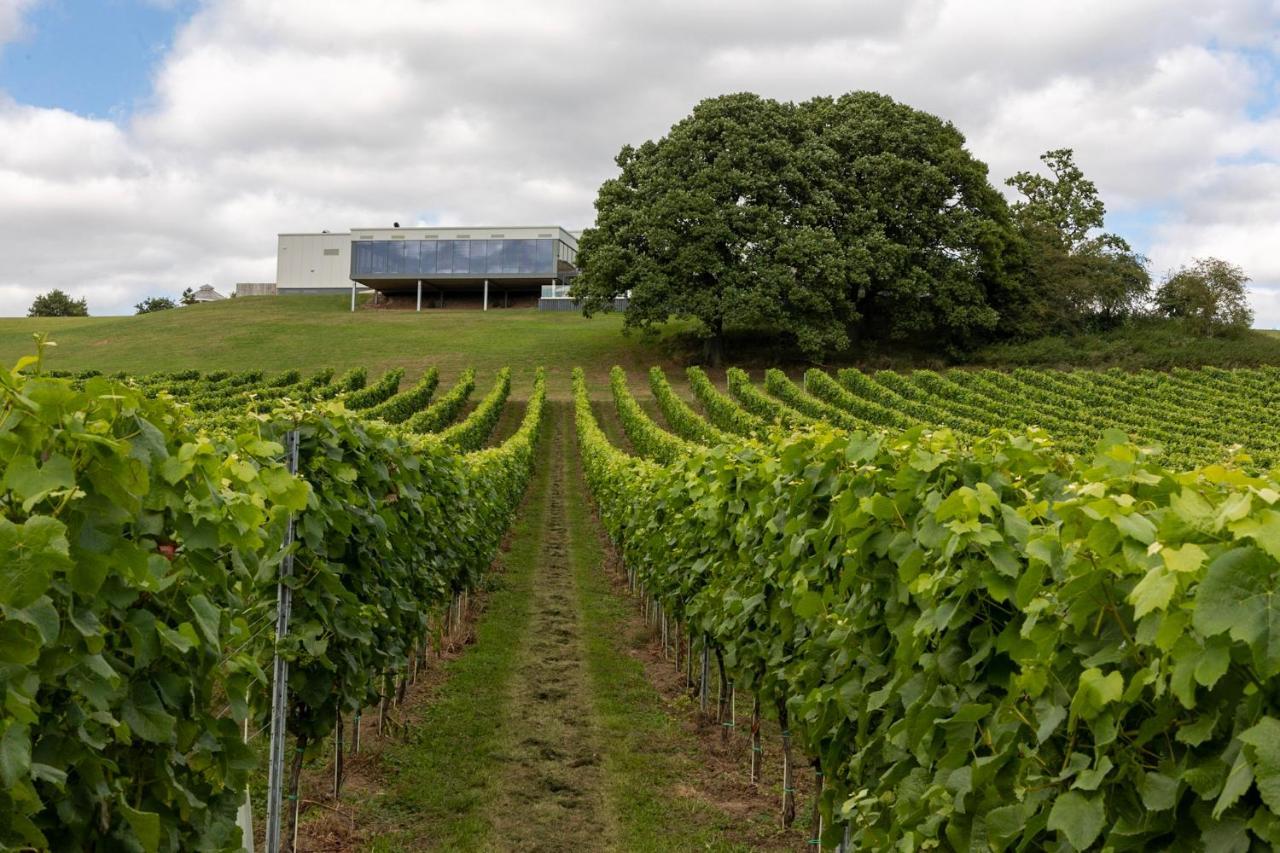 Hencote Vineyard Glamping Village 슈루즈버리 외부 사진